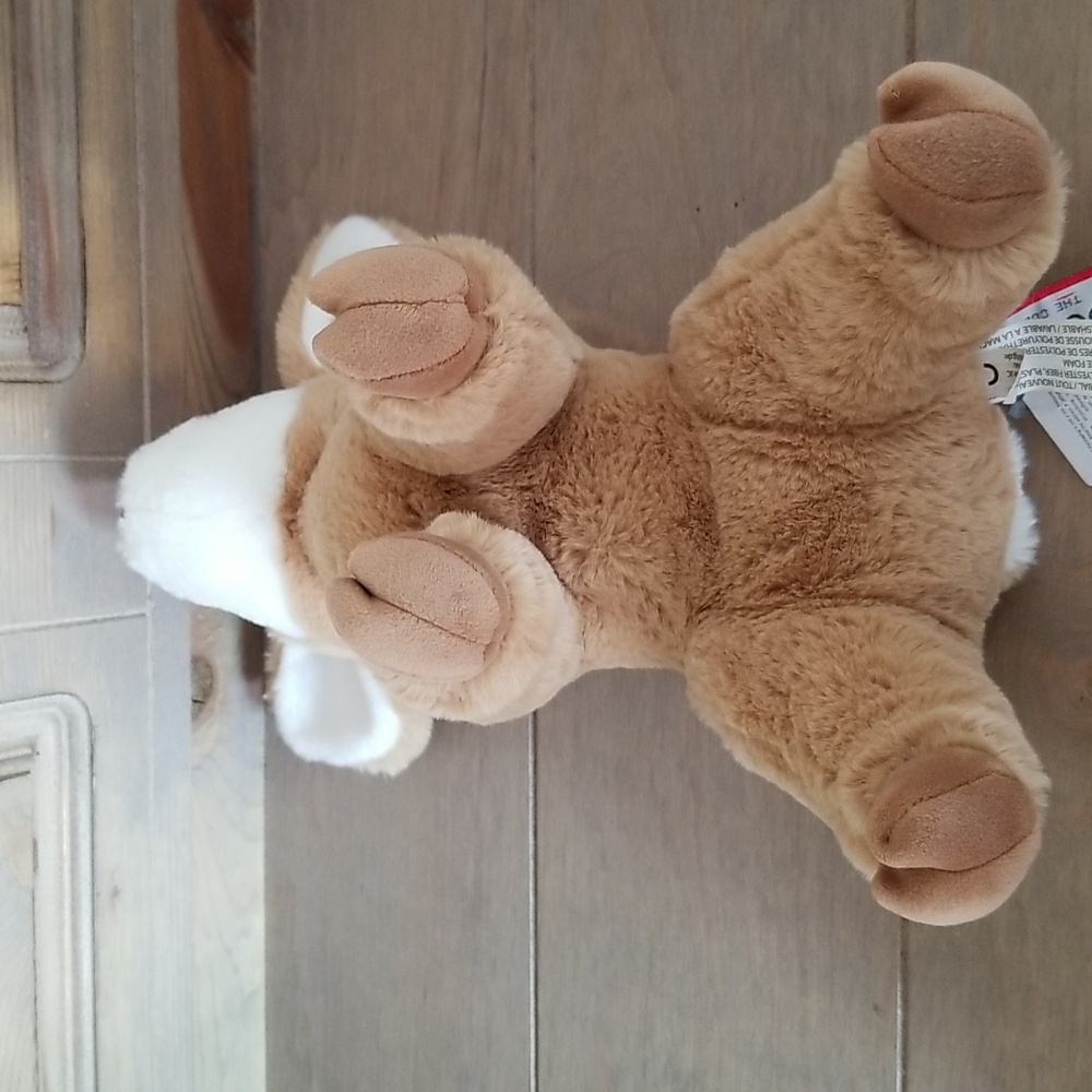 Douglas Fernie Fawn Deer Plush - Picture 12 of 14